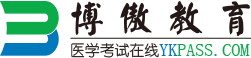 博傲药师