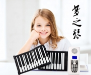 迈科诺