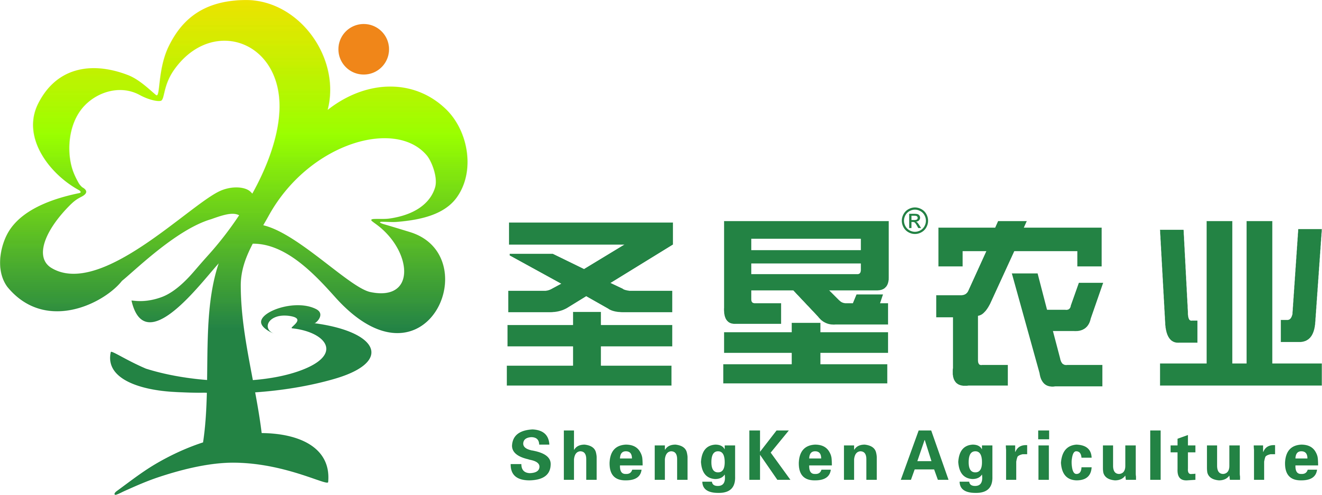 圣垦