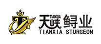 天峡TIANXIA